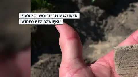 WLODAWA