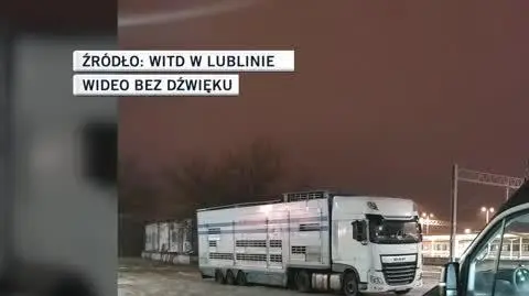 WITD w Lublinie 