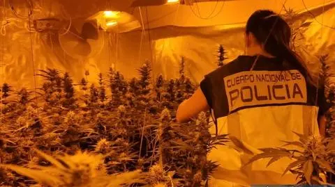 Działali na terenie całej Hiszpanii, a narkotyki przewozili do Polski. 18 osób zatrzymanych