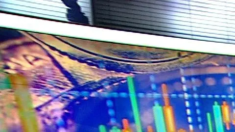 Balcerowicz: pełne koszty polityki gospodarczej PiS-u pojawią się w tym roku