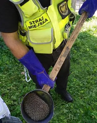 Strażnicy użyli specjalnego sprzętu 