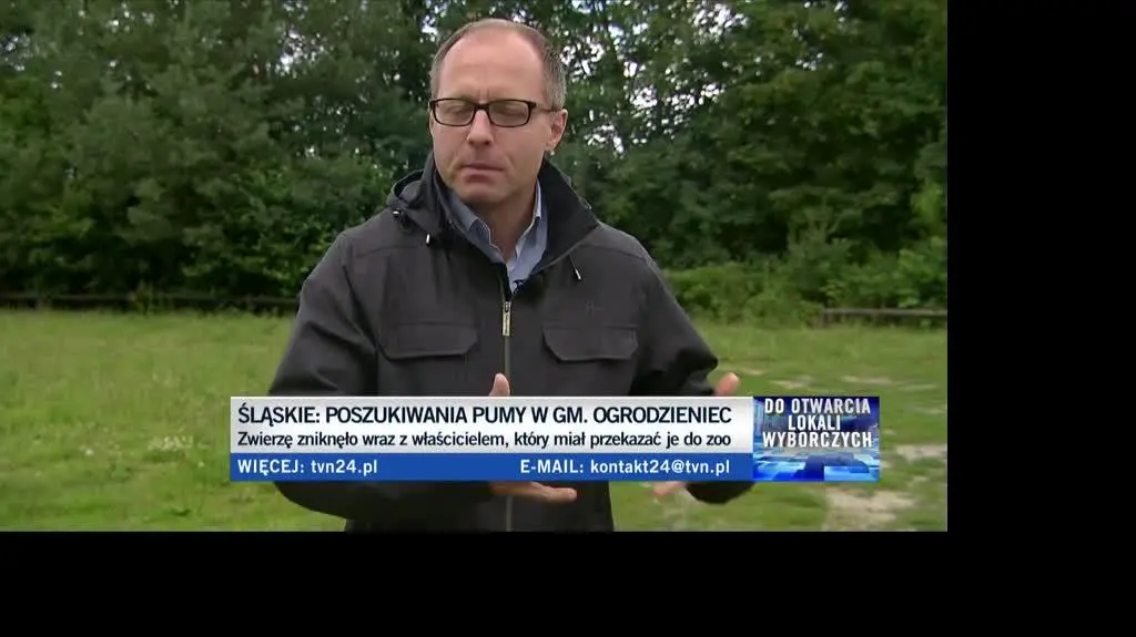 Puma nowy lajf