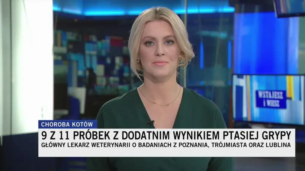 TVN24 Clean_20230627090149(16556)_aac