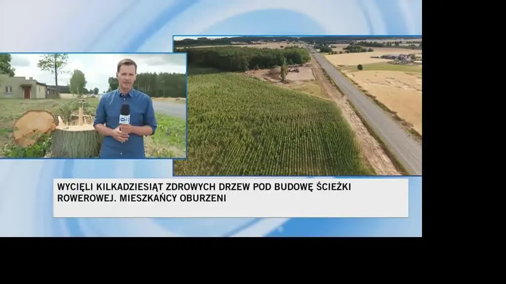 DK92 Wycięto kilkaset drzew