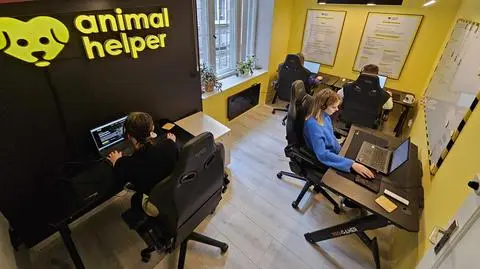 Aplikacja Animal Helper działa w połowie Polski. Jak skorzystać ze "112 dla zwierząt"?