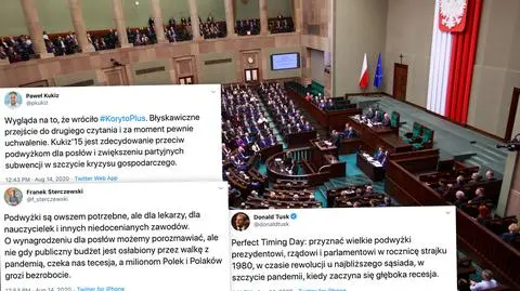 "Koryto Plus", "Perfect Timing Day". Nieliczni politycy komentują projekt podwyżek dla parlamentarzystów