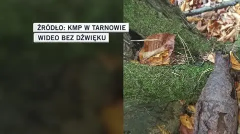 KMP w Tarnowie