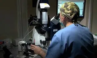 Pół tysiąca dzieci urodzonych dzięki programowi in vitro w Łodzi