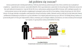 Jak pobiera się osocze?