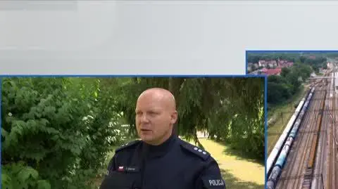 live toffik