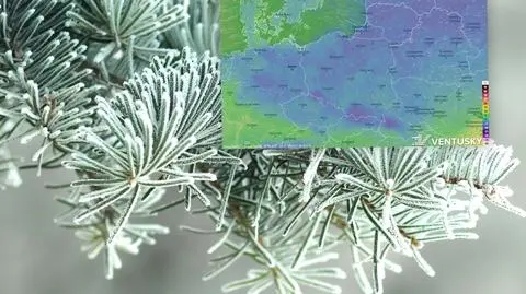 Pojawi się mróz