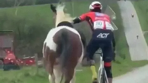 Kolarz uratował peleton przed szarżującym koniem