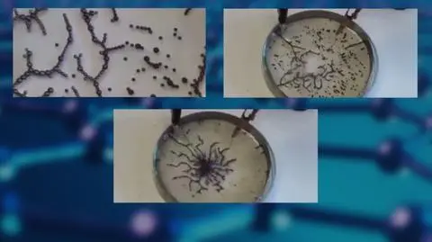 "Kolejny przykład szkodliwości 5G"? To nie jest grafen ze szczepionek