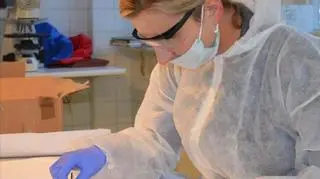 W laboratorium prowadzi się większość badań 