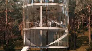 Szklany dom na drzewie