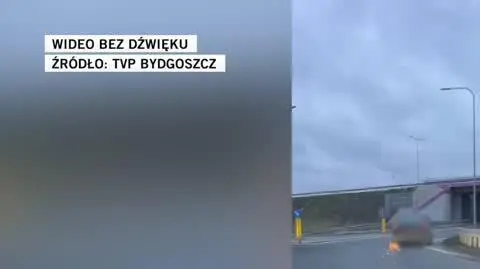 TVP Bydgoszcz