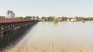 Ścinawa (11:00, 20.09.2024)