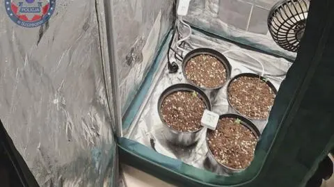 Klatka kluczowa-286190