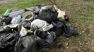 Śmieci zebrane w godzinę nad Odrą w Oławie