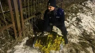 Policjanci zaopiekowali się potrąconym bobrem