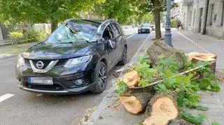 O krok od tragedii w Kutnie. Drzewo runęło na samochód