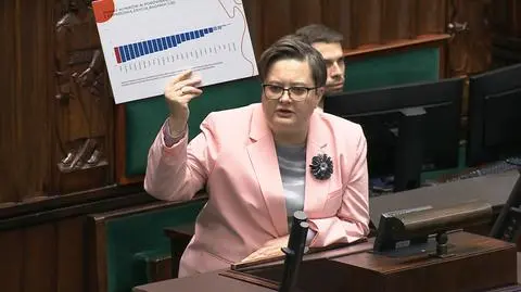 Lubnauer o programie willa plus: niczym nie jest zabezpieczony 