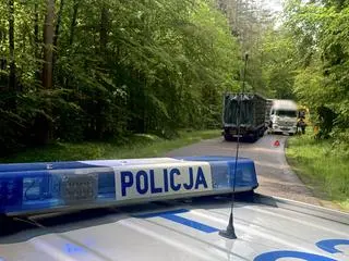 Po wyminięciu się pojazdów indyki wypadły na drogę