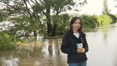 TVN24 Clean_20240917084613(8412)_aac