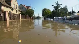 Głogów z dnia 22 września 2024 roku