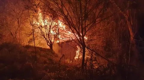 Nocny pożar pustostanu. Nie żyje kobieta i dwóch mężczyzn 