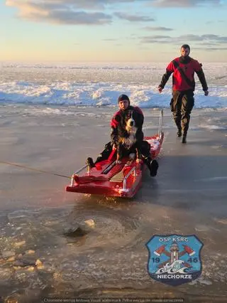 Strażacy uratowali psa