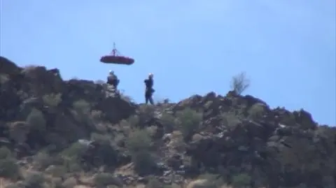 Został użądlony ponad sto razy. Walczy o życie