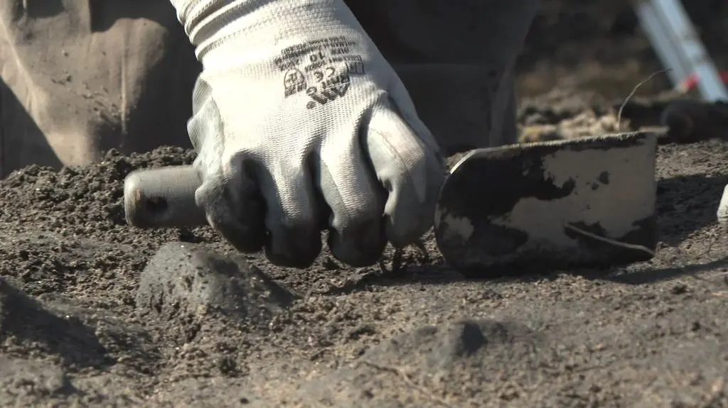 Wykopaliska archeologiczne w Wolinie