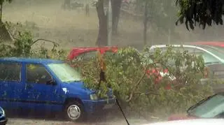 Połamane drzewa na autach zaparkowanych w Splicie