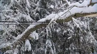Prądu nie ma od trzech dni