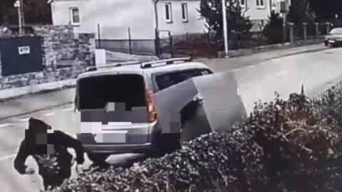 Zniszczył jadłodzielnię. Wpadł w ręce policji