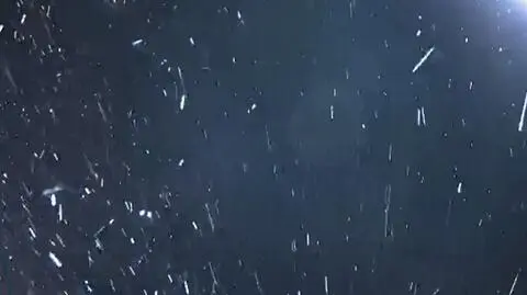 "Leci już o własnych siłach". Astronauci wracają. Zobacz, co się dzieje 