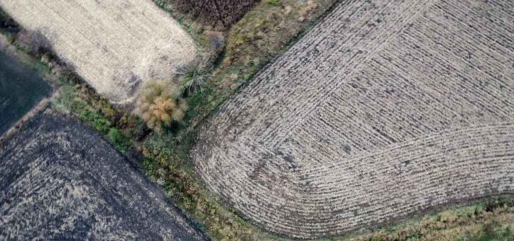 Co z odkupem? "Jestem gotowy do rozmów"
