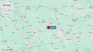 Osiny w województwie lubelskim