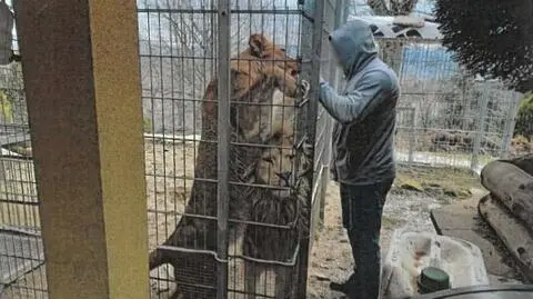 Zdjęcie z protokołu kontroli brzeskiego PIW w Czchowie