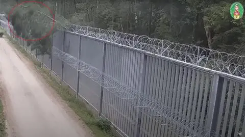 Drzewo spadło na zaporę 