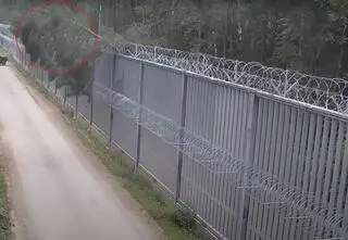 Chcieli przekroczyć granicę, chwilę później drzewo spadło na zaporę