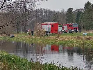 Rozczłonkowane ciało odkryto w parku