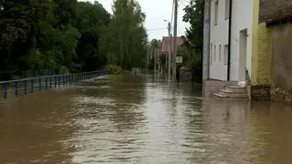 Strzelce (gmina Marcinowice)