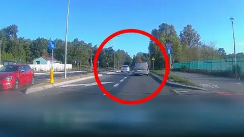 Wyprzedzał przed przejściem, na które wchodził pieszy z psem