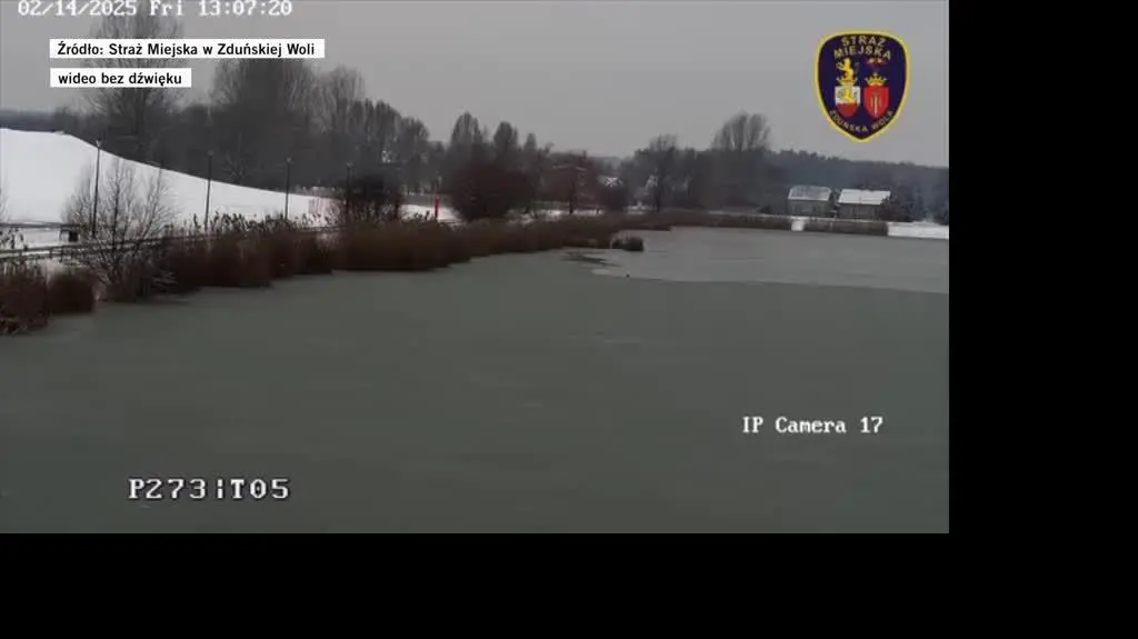 Pod psem załamał się lód