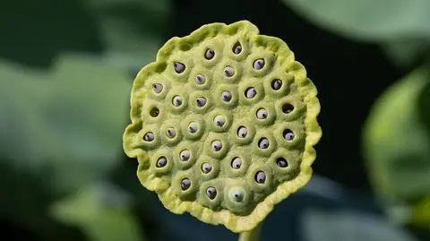 shutterstock_2188080713