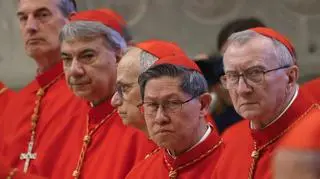 "Casus Wojtyły na pewno się nie powtórzy". A kto zostanie papieżem?