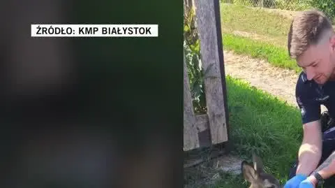 KMP Białystok ok