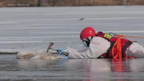 Klatka kluczowa-250671